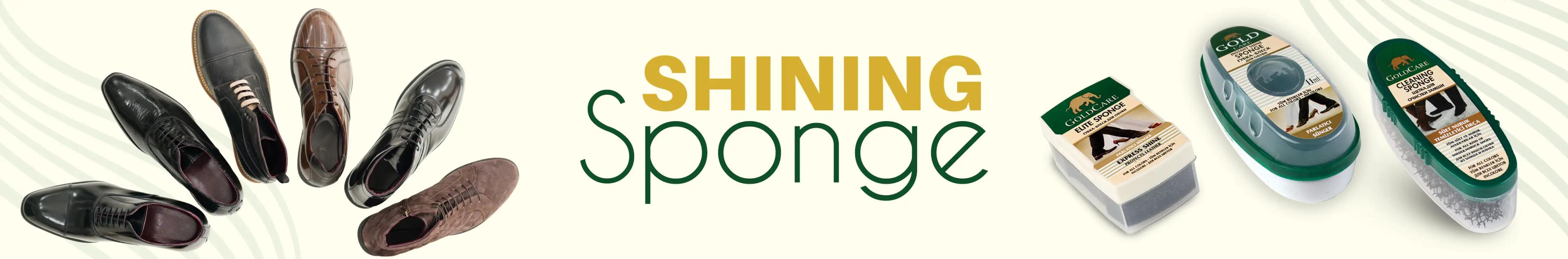 1735628520796_Shining spong.webp